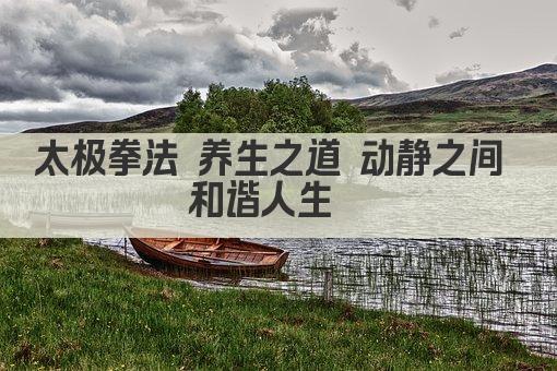 太极拳法 养生之道 动静之间 和谐人生  