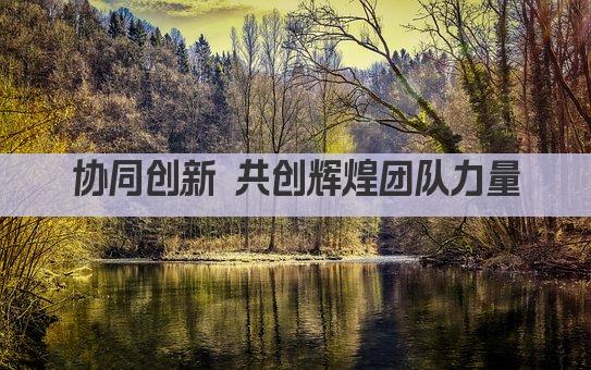 协同创新 共创辉煌团队力量