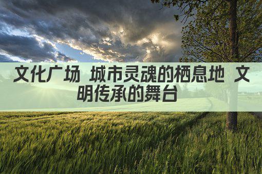 文化广场 城市灵魂的栖息地 文明传承的舞台 