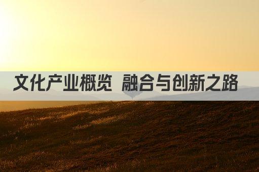 文化产业概览 融合与创新之路 