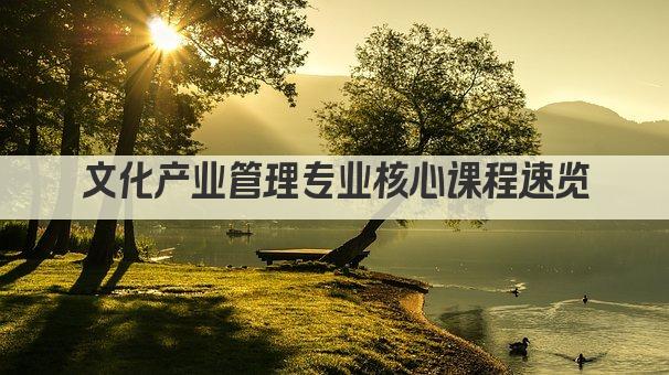 文化产业管理专业核心课程速览
