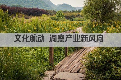 文化脉动 洞察产业新风向 