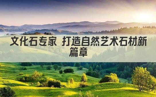 文化石专家 打造自然艺术石材新篇章