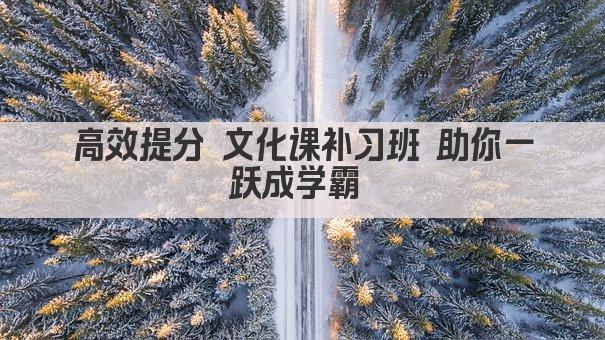 高效提分 文化课补习班 助你一跃成学霸 