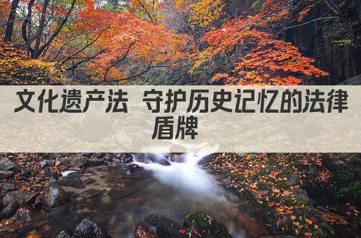 文化遗产法 守护历史记忆的法律盾牌 