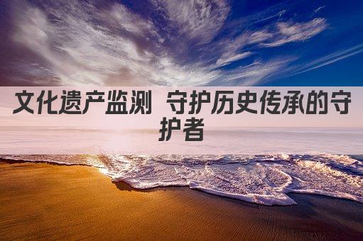 文化遗产监测 守护历史传承的守护者