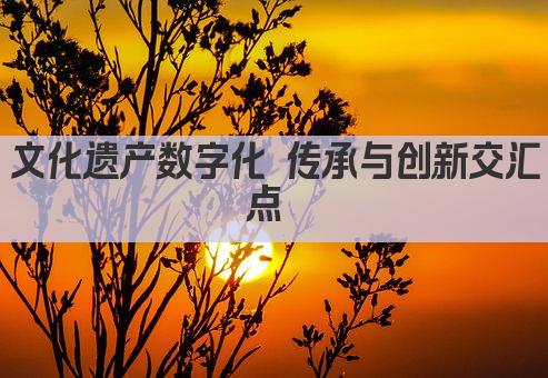 文化遗产数字化 传承与创新交汇点 