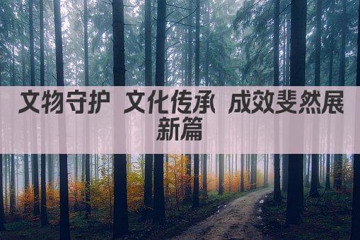 文物守护 文化传承 成效斐然展新篇