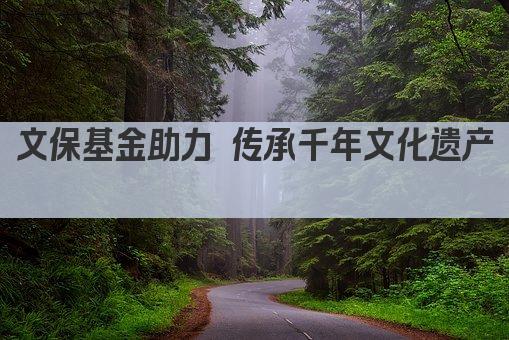 文保基金助力 传承千年文化遗产 
