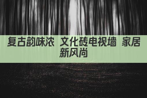 复古韵味浓 文化砖电视墙 家居新风尚
