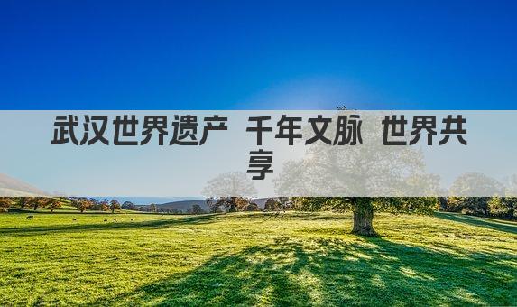 武汉世界遗产 千年文脉 世界共享