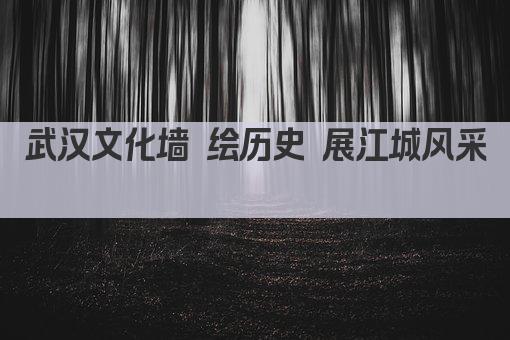 武汉文化墙 绘历史 展江城风采 