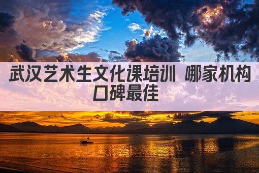 武汉艺术生文化课培训 哪家机构口碑最佳 