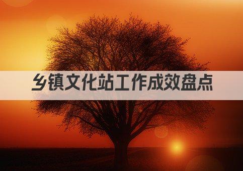 乡镇文化站工作成效盘点