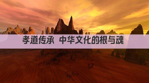 孝道传承 中华文化的根与魂 