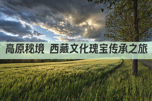 高原秘境 西藏文化瑰宝传承之旅