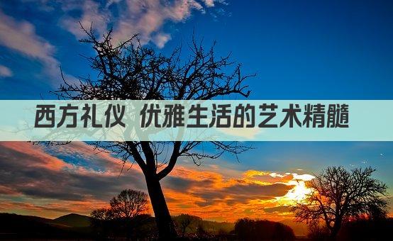 西方礼仪 优雅生活的艺术精髓 