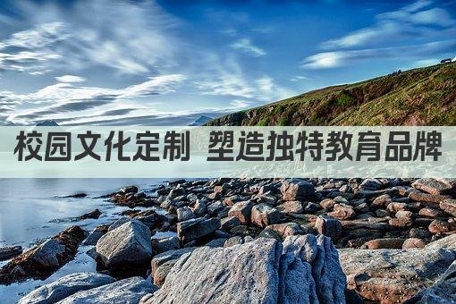校园文化定制 塑造独特教育品牌
