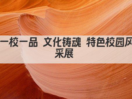 一校一品 文化铸魂 特色校园风采展 