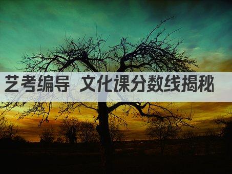 艺考编导 文化课分数线揭秘  