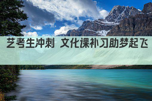 艺考生冲刺 文化课补习助梦起飞  