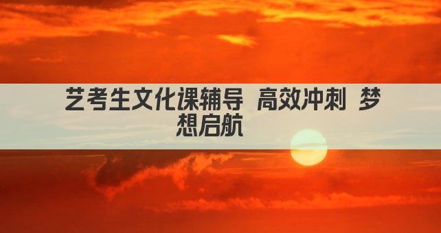 艺考生文化课辅导 高效冲刺 梦想启航  