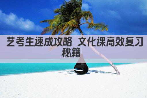 艺考生速成攻略 文化课高效复习秘籍 