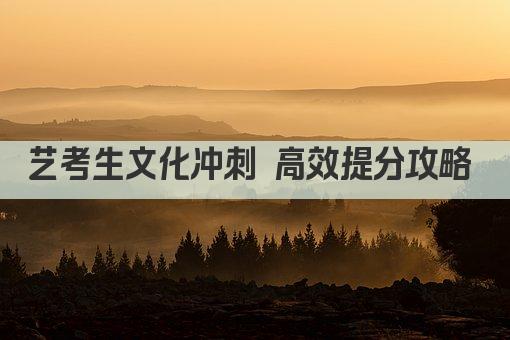 艺考生文化冲刺 高效提分攻略 