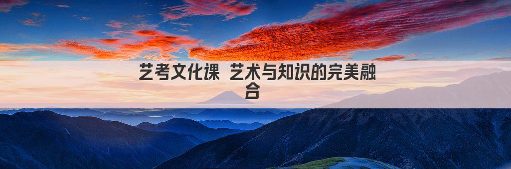 艺考文化课 艺术与知识的完美融合 
