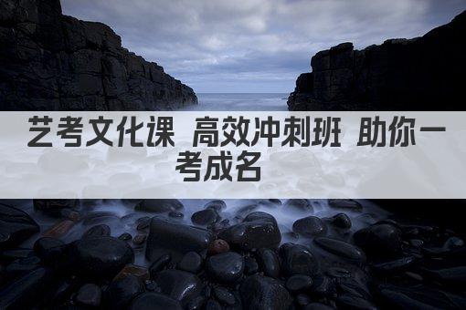 艺考文化课 高效冲刺班 助你一考成名  