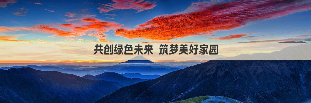 打造未来梦想 共创辉煌人生  