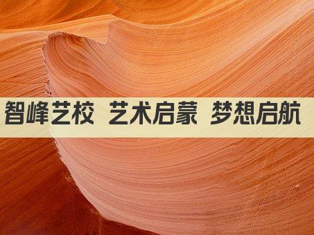 智峰艺校 艺术启蒙 梦想启航 