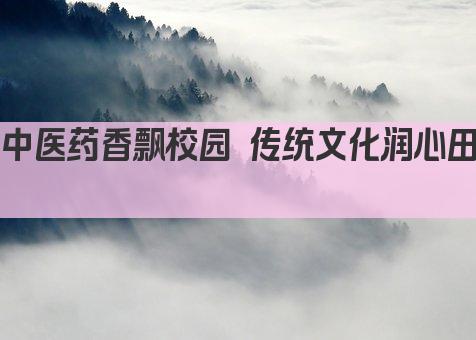中医药香飘校园 传统文化润心田 