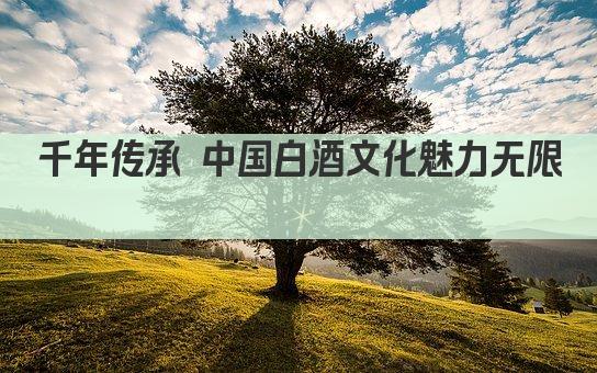 千年传承 中国白酒文化魅力无限 
