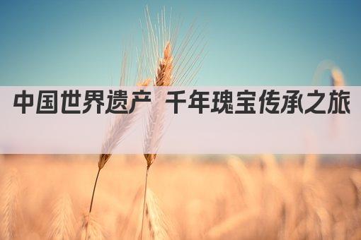 中国世界遗产 千年瑰宝传承之旅 
