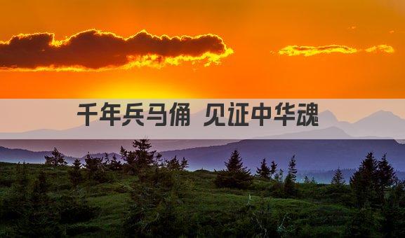 千年兵马俑 见证中华魂 