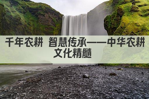 千年农耕 智慧传承——中华农耕文化精髓 