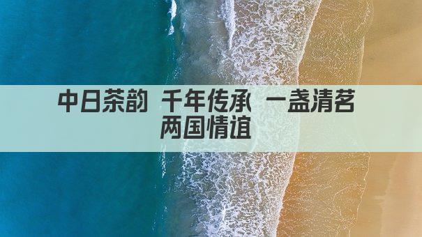 中日茶韵 千年传承 一盏清茗 两国情谊 