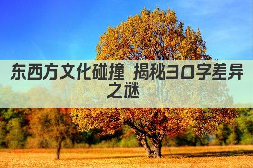 东西方文化碰撞 揭秘30字差异之谜 