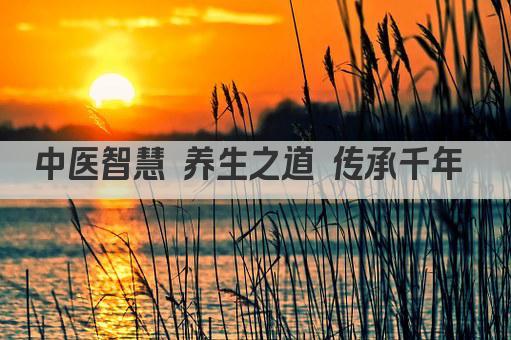 中医智慧 养生之道 传承千年 