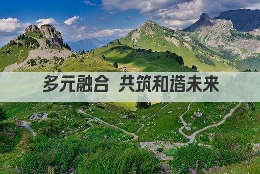 多元融合 共筑和谐未来