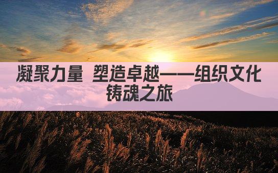 凝聚力量 塑造卓越——组织文化铸魂之旅