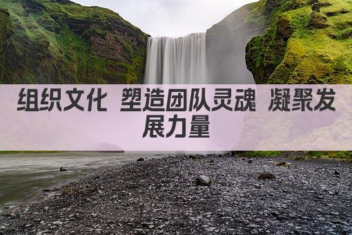 组织文化 塑造团队灵魂 凝聚发展力量