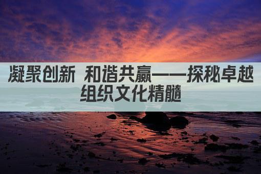凝聚创新 和谐共赢——探秘卓越组织文化精髓