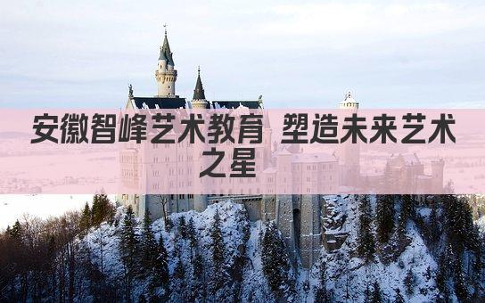 安徽智峰艺术教育 塑造未来艺术之星  