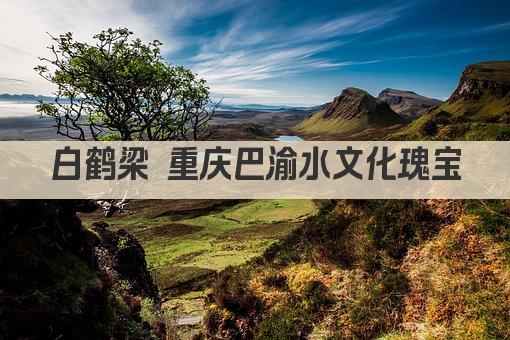白鹤梁 重庆巴渝水文化瑰宝