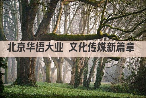北京华语大业 文化传媒新篇章 