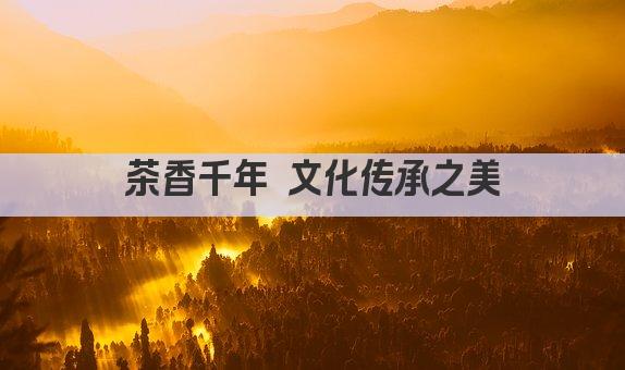 茶香千年 文化传承之美