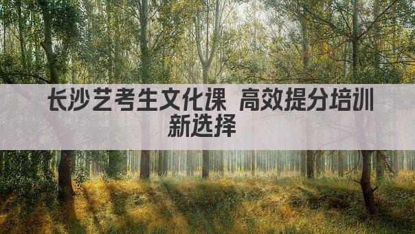 长沙艺考生文化课 高效提分培训新选择 