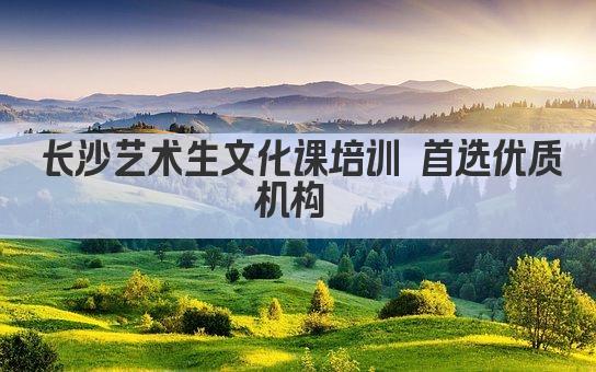 长沙艺术生文化课培训 首选专业机构 